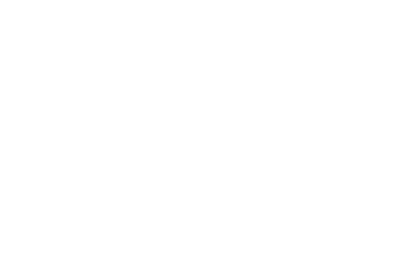 AVRE